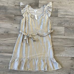 LOFT dress champagne color